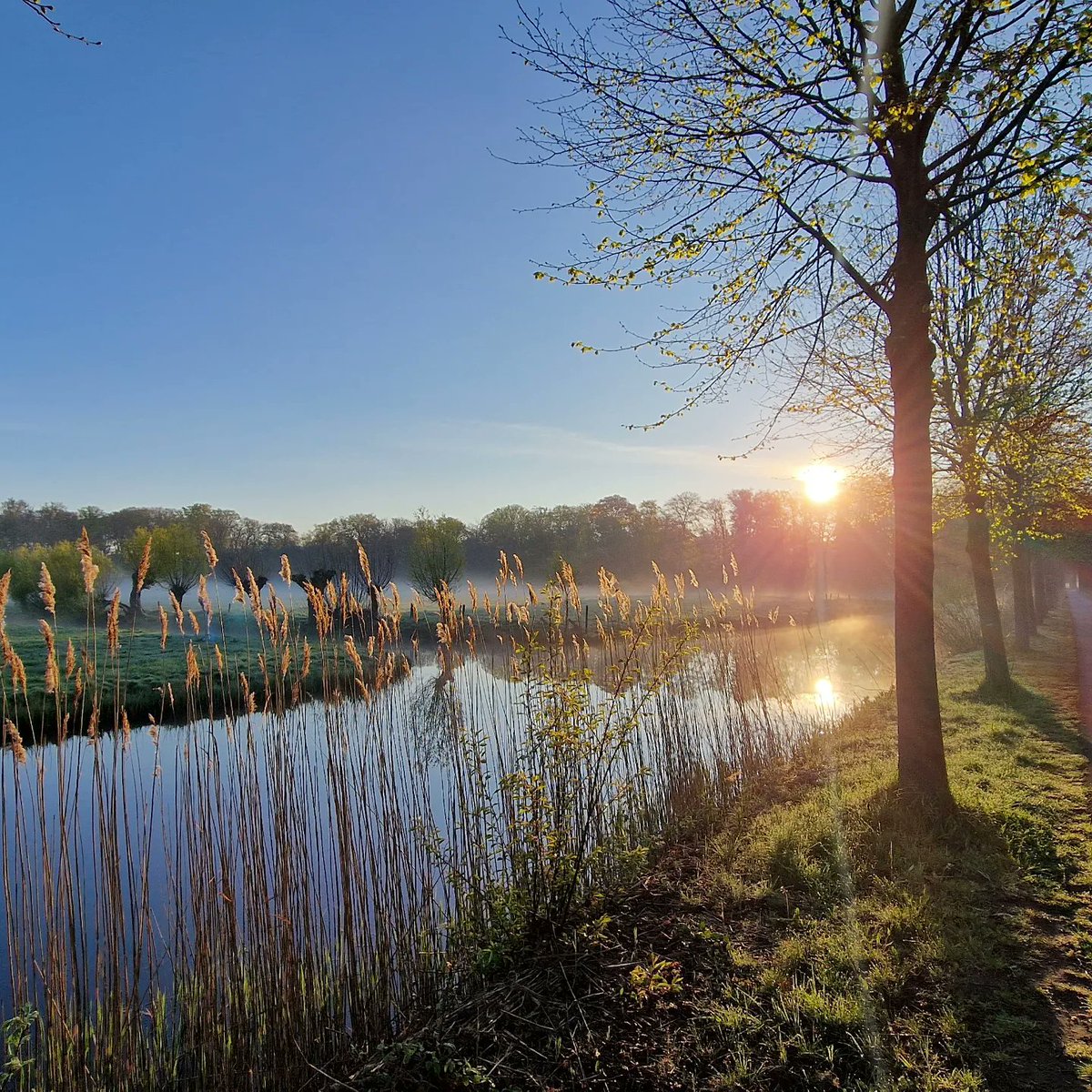 Selma van Dijk tweet media