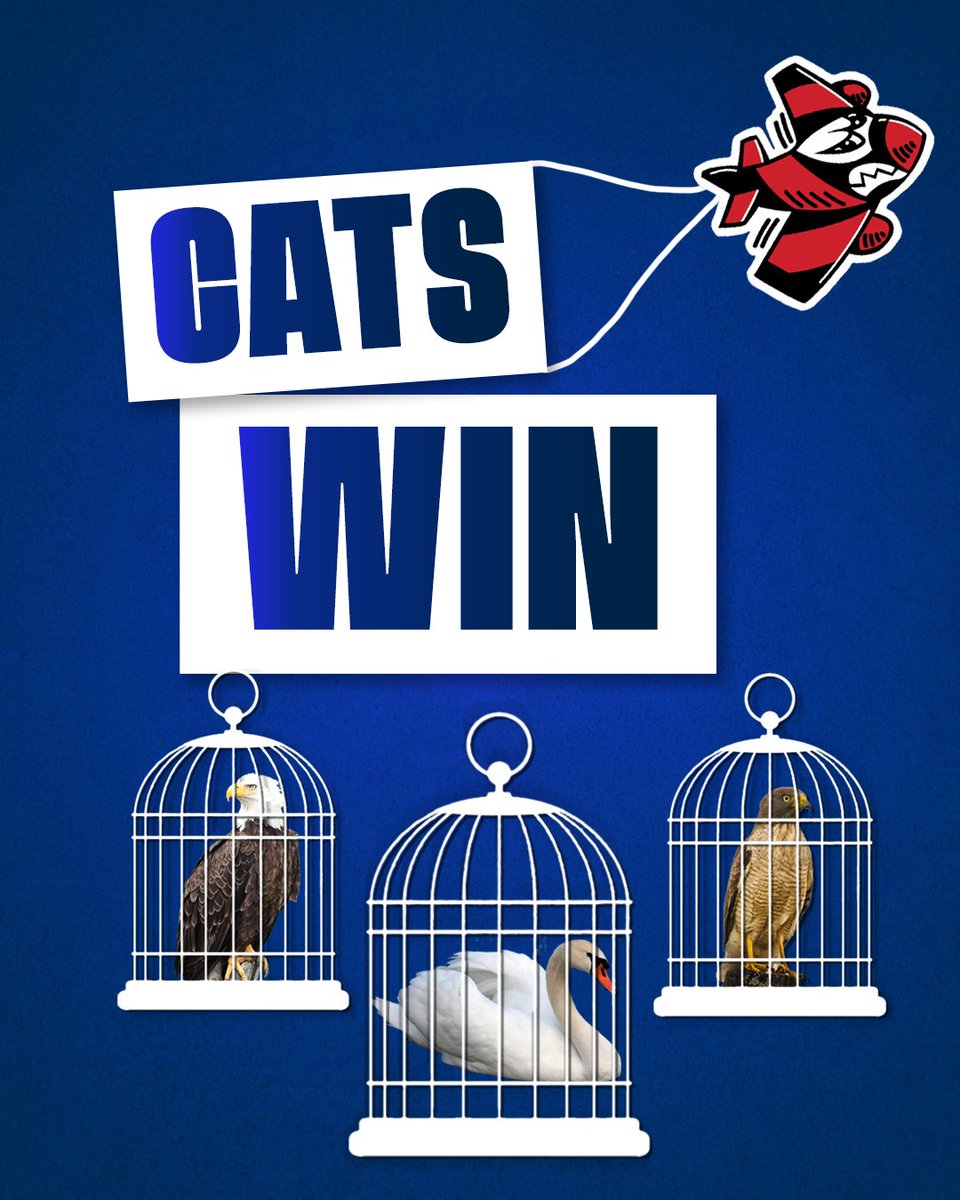GeelongCats's tweet photo. Landed the win 🛬 😏 #WeAreGeelong https://t.co/Z6L7eC1Qk1