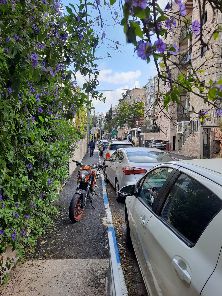 StarrMaya911's tweet photo. שכן עיוור מגשש את דרכו עם מקל ברחוב הרב ברלין בירושלים, כמו בכל בוקר. בד"כ רק צד אחד של המדרכה משמש לחניית רכבים, הפעם שניהם. אוף. https://t.co/D1aDJkOuq5