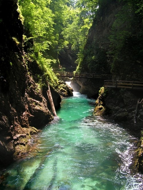 AceWeekly's tweet photo. River Path, Vintgar Gorge, Slovenia #RiverPath #VintgarGorge #Slovenia https://t.co/kqYjkyB6fT https://t.co/RimDxuEhqI