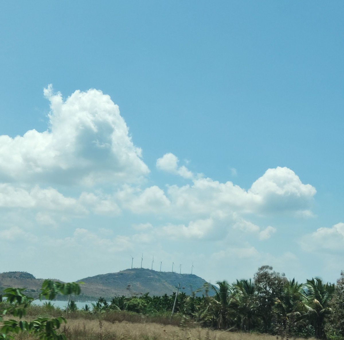 sharath_nayaka7's tweet photo. Windmills 😍
#VVsagara https://t.co/uic7MBjito