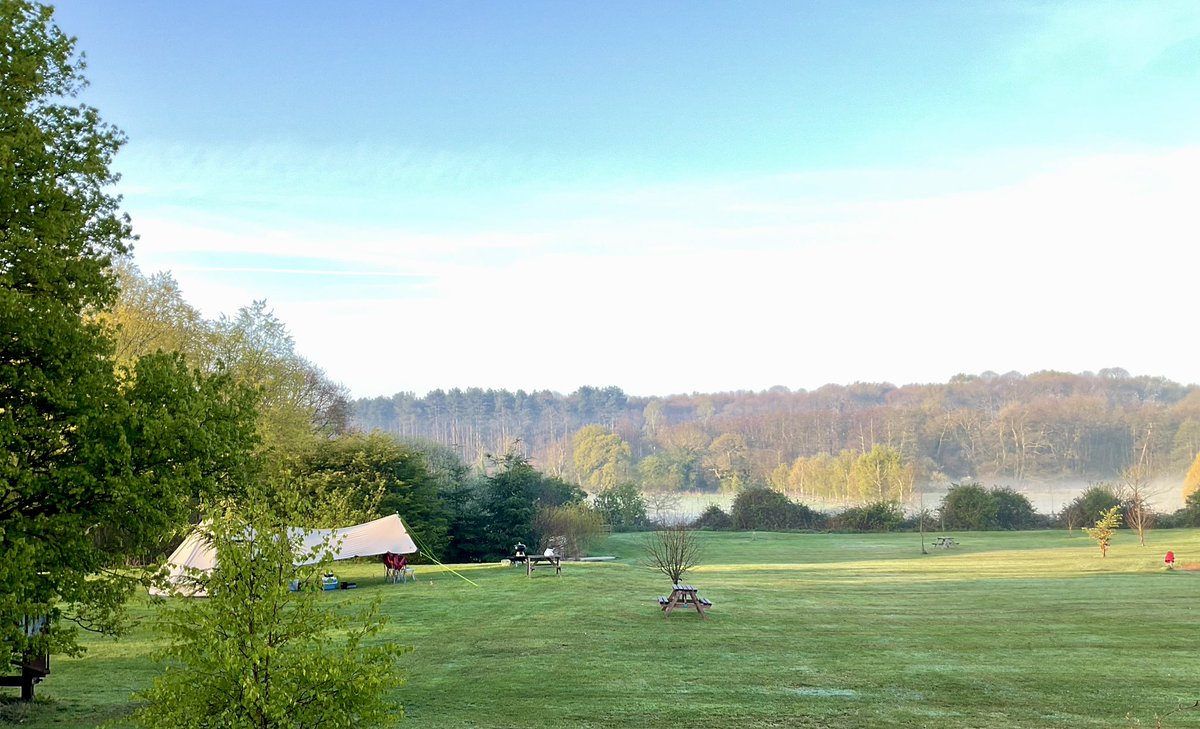 The start of another beautiful day at Newbourne Woodland Campsite #Suffolkcountryside #campfires #dogfriendly