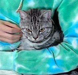 mumeowcwr's tweet photo. รู้ว่าไม่รักกันแต่หน้ากล้องช่วยๆแก้งรักกันหน่อยก็ได้55555555555555
55555555555555555 https://t.co/PITqDMjgV4