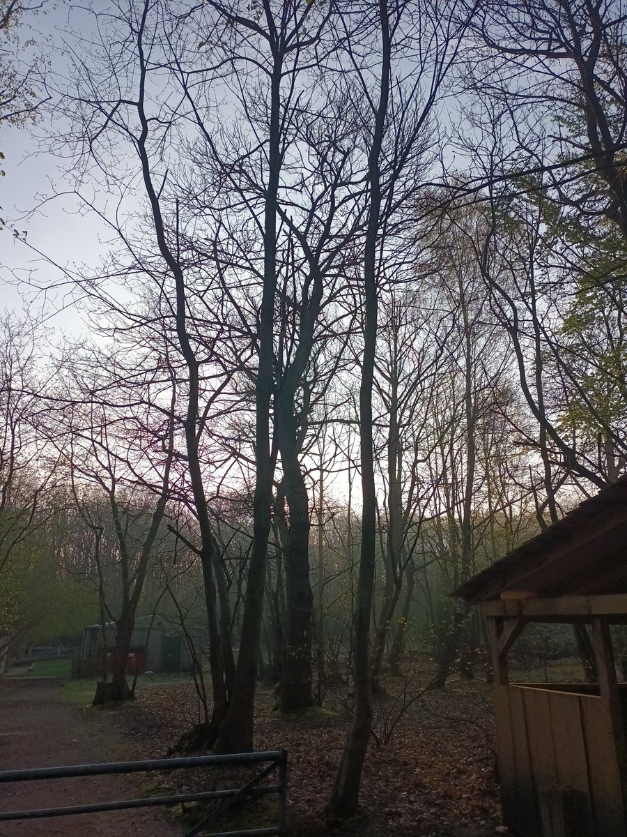 Good morning!

Everyone has had some sleep and it's looking like another lovely day. Camp is slowly waking up, making breakfast and striking tents before a bit of route planning and then we'll be setting off 🏕️