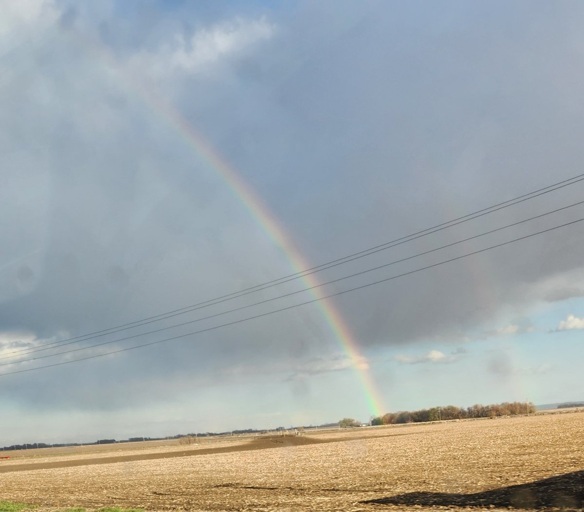 💙Dar💙🐕🐈‍⬛🌈♥️ tweet media