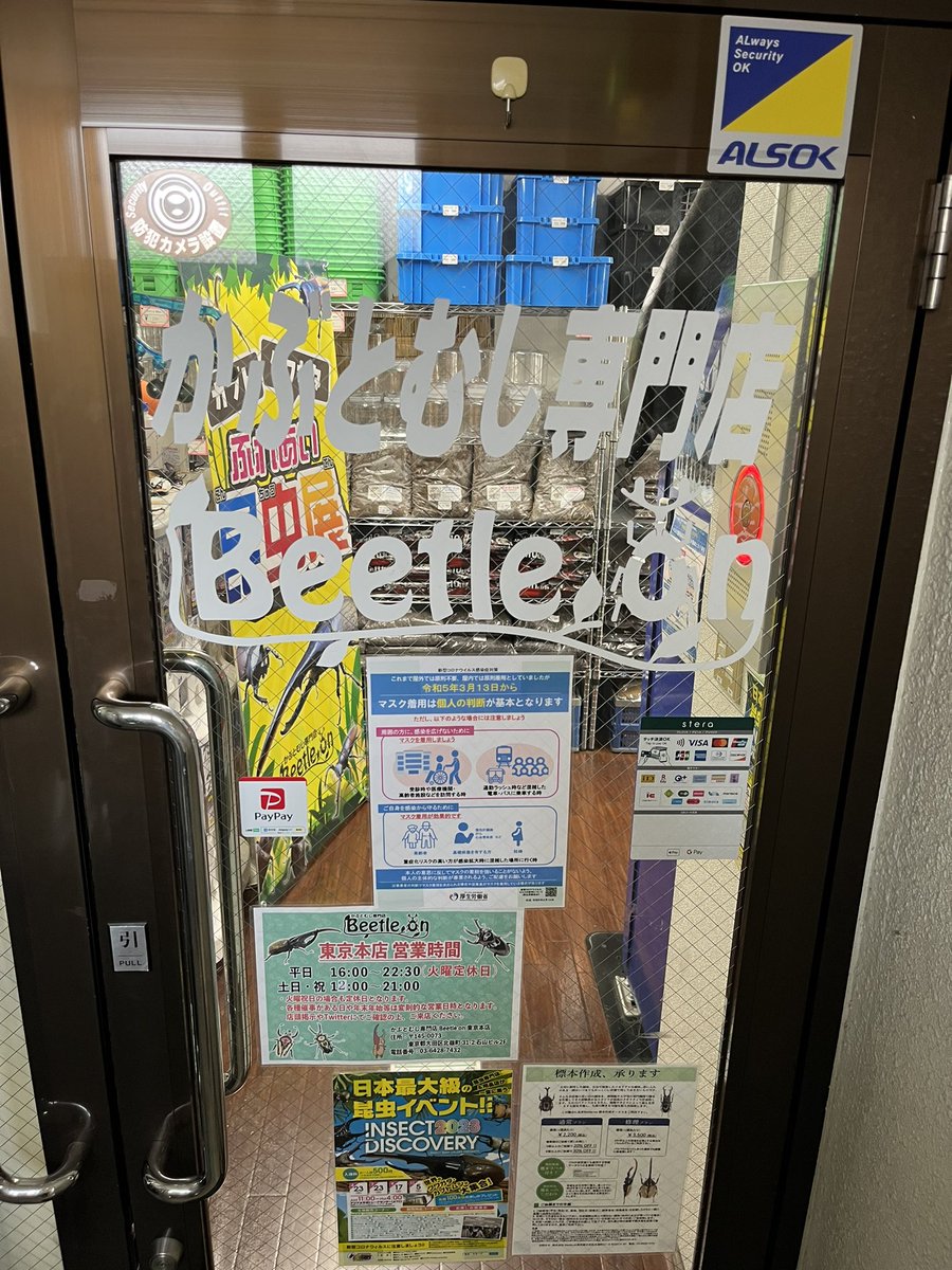 zQeXiq8mG8dILob's tweet photo. パパ一人で東京昆虫ショップ巡り
クワカブの部屋の三森さんの聖地巡礼的な感じで出掛けたんやけど、最初のKUWATAフェスティバル横浜で動画に出てくる店長が全員集結してた笑
欲しかった生体と用品が手に入って大満足🥰
#クワカブの部屋 #kuwataフェスティバル #ランバージャック #beetleon #むし社 https://t.co/ar9rx3PoC3