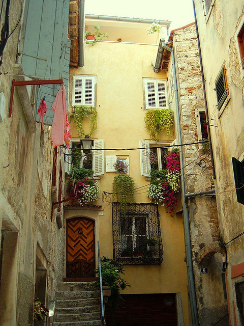 Side Street, Rovinj, Croatia #SideStreet #Rovinj #Croatia traceymoyer.com