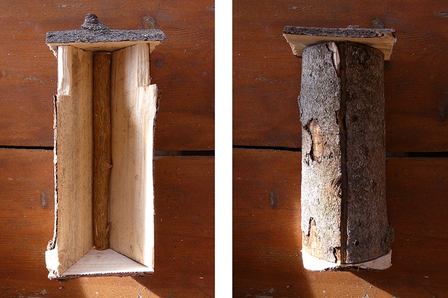 morgenvogel.net/birdhouses23
#puukiipijä #baumlaufer #treecreeper #homotiainen #willowtit #weidenmeise #linnunpönttö #birdhouse #morgenvogelrealestate #vogelhaus #avantinatura