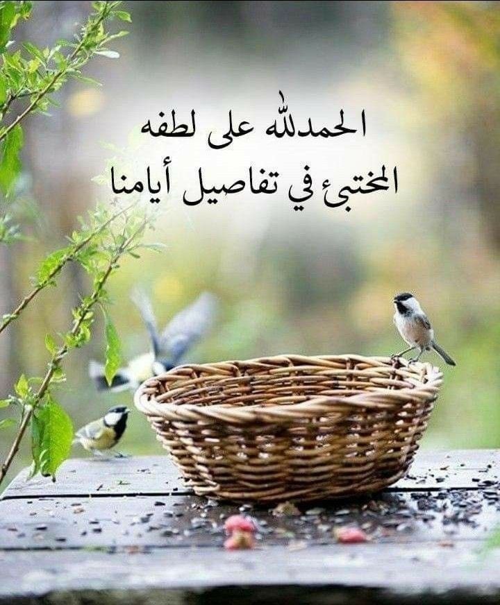 totohappy93's tweet photo. صباحكم سعادة https://t.co/mOYZjRGEiU