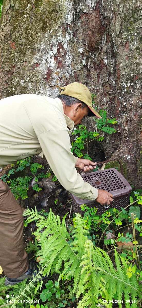 DEVAJIT MORAN #IAmDehingPatkai #Protectmetoo tweet media