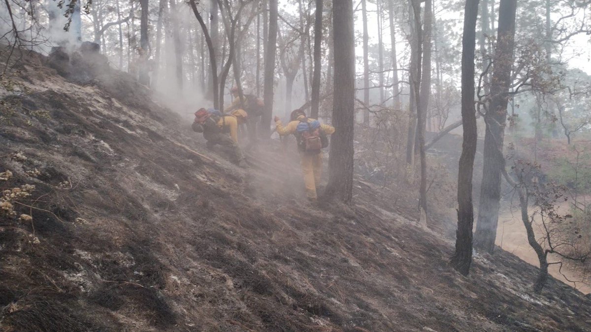 EnriqueAlfaroR's tweet photo. Luego del titánico trabajo de casi 300 bomberas y bomberos forestales de los tres niveles de Gobierno y sociedad civil, se controló el fuego en los parajes el Carrizal y Tilia, en Tapalpa, pero se mantiene activa la #AlertaAtmosférica en los municipios aledaños hasta extinguirlo. https://t.co/LEh3uGlf1K
