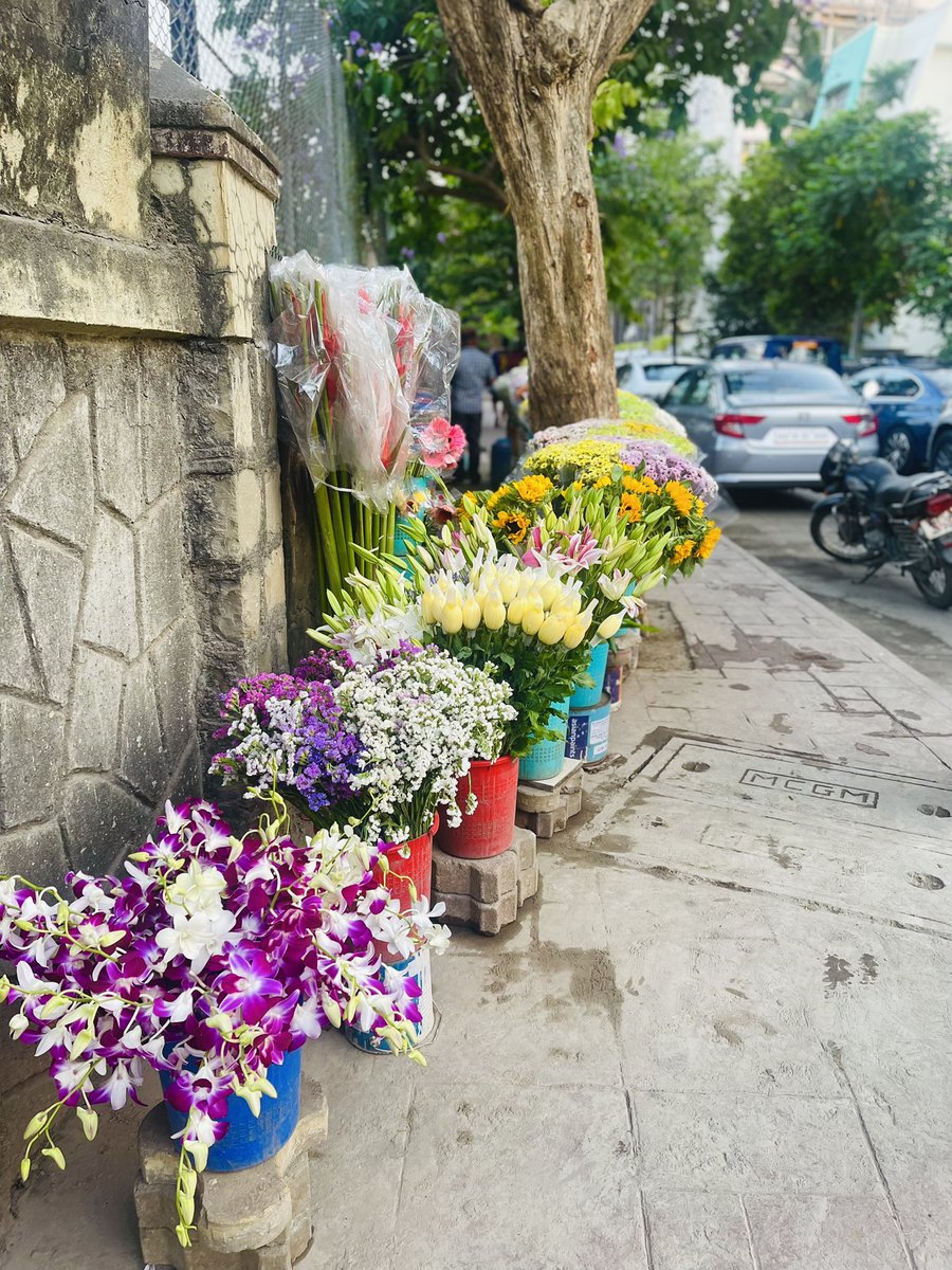 vruttijain's tweet photo. — Sunday morning in Bombay. 🫶🏽 https://t.co/MZrQjuG4zO