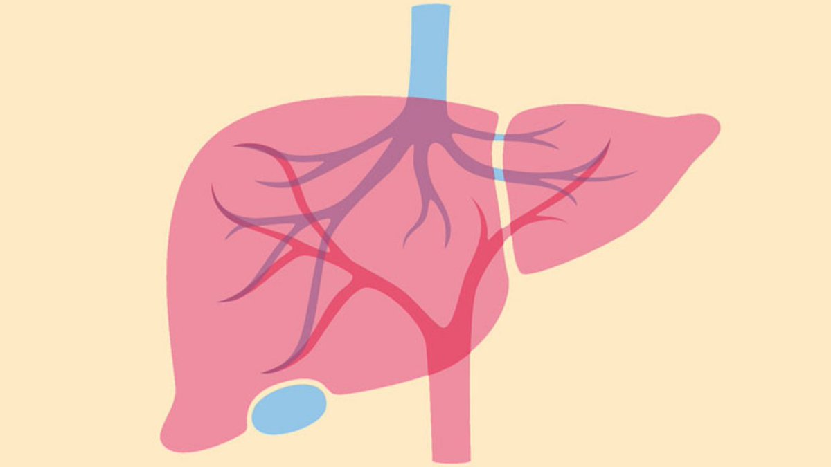 therealjohnchao's tweet photo. Do You Want to Cleanse Your Liver?

Secrets about Your Liver and Gallbladder Health that Your Doctor Won't Tell You

My Story...
🧵⤵️ https://t.co/jtRO0MFXUJ