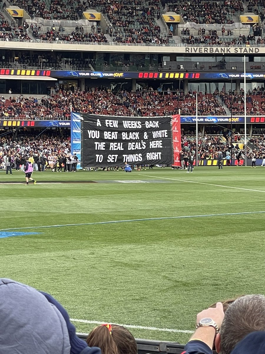 yehgocrows's tweet photo. amazing from @CollingwoodFC 😂😂😂 https://t.co/jHJ0xmW0Ua