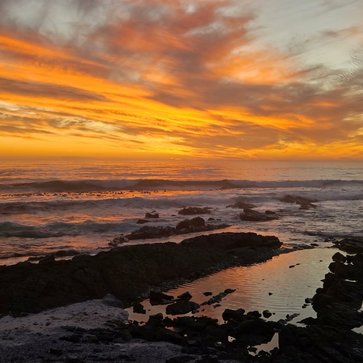 @Derick_Cape #westcoast #weskus #westcoastbestcoast #melkbosstrand 🧡📷🇿🇦