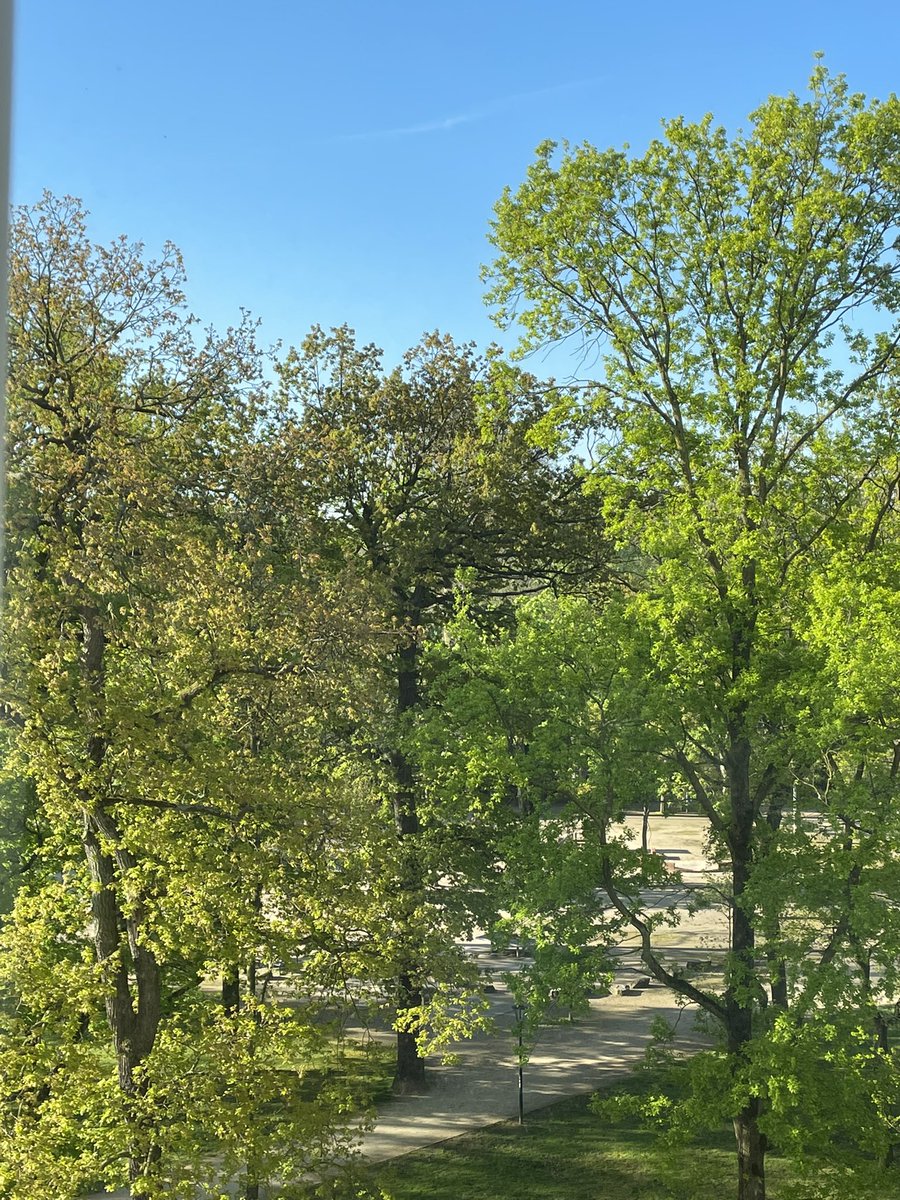 Guten Morgen Düsseldorf 🔵