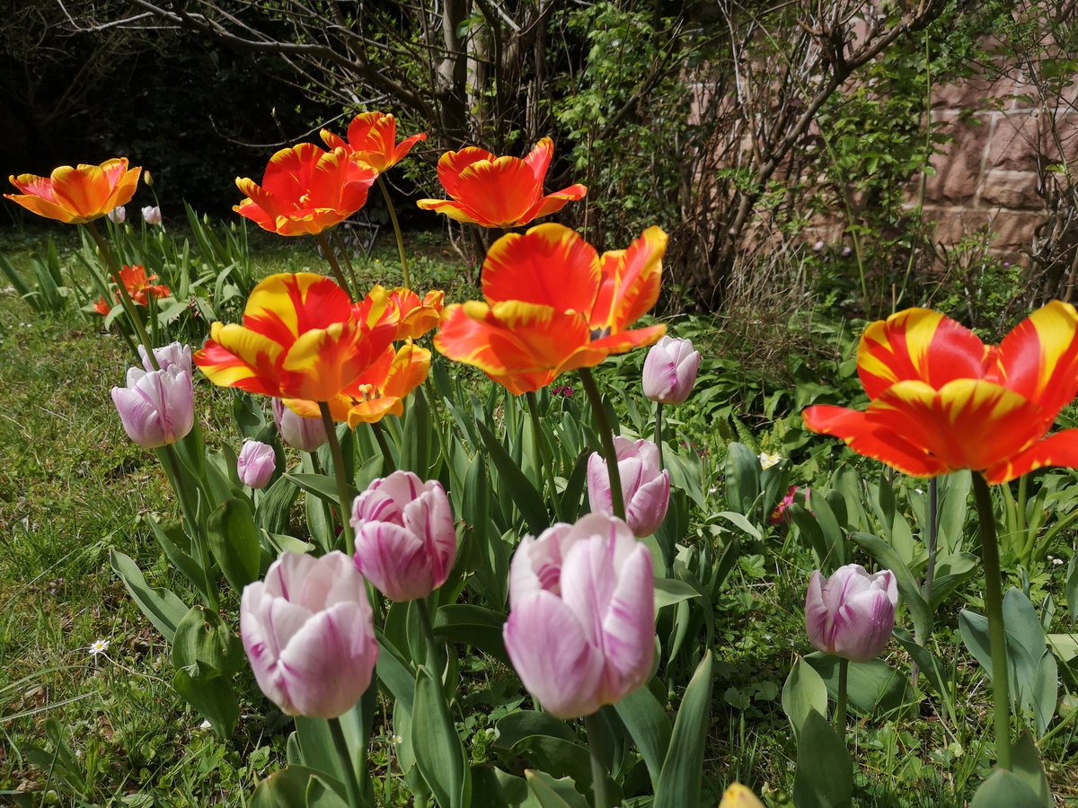 Guten Morgen. Lasst die Schönheit der Natur in euer Herz.