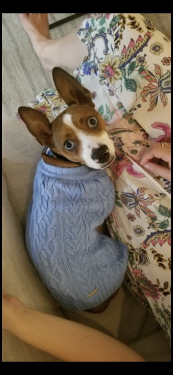 Darcy Fowler tweet media