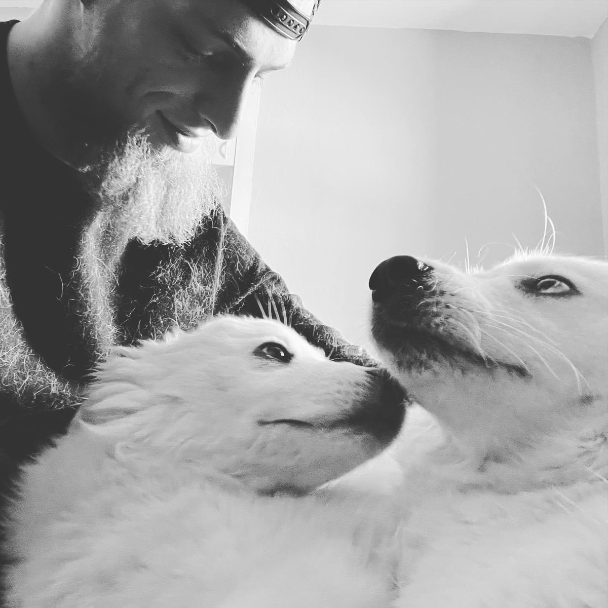 KaiEnderesReal's tweet photo. My baby and her baby 🐺🥰❤️ https://t.co/wKp8pKp3Z6