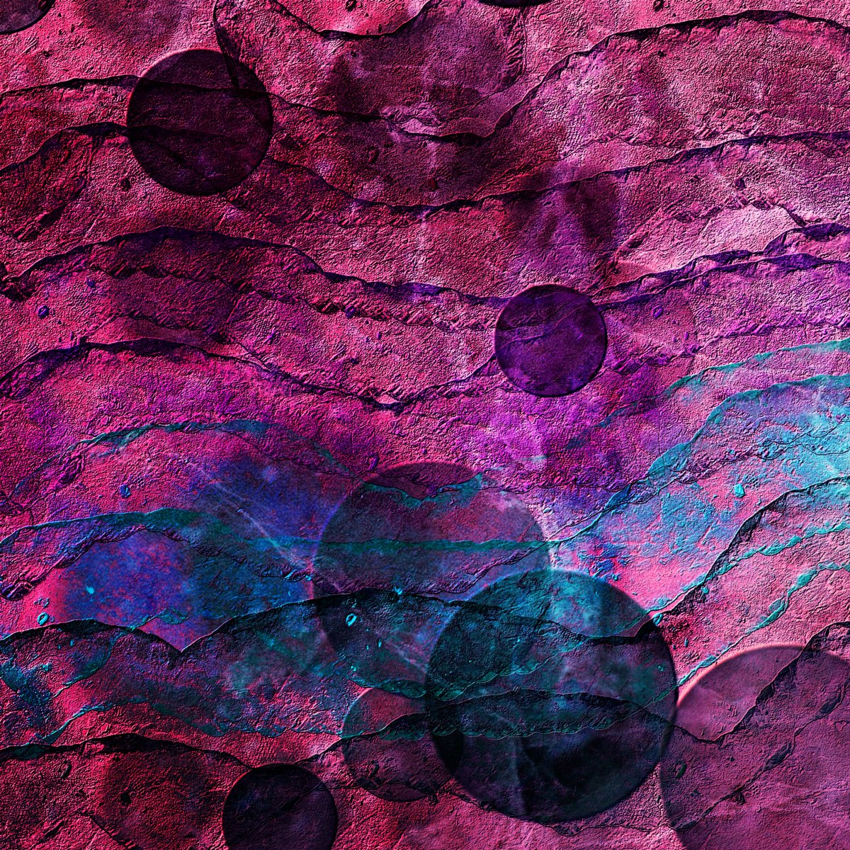 Ali Chevalier tweet media