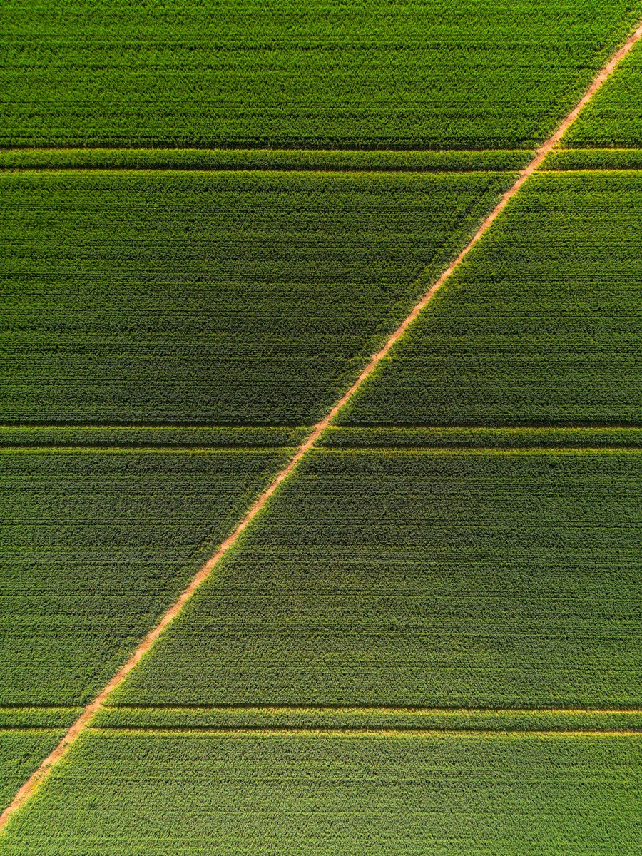 mwatkinsphotos's tweet photo. Abstract Lines
#wexmondays #fsprintmondays #picoftheday #sharemondays2023 #formatthitech #vanguardphotouk https://t.co/Uwe90Xzkjc