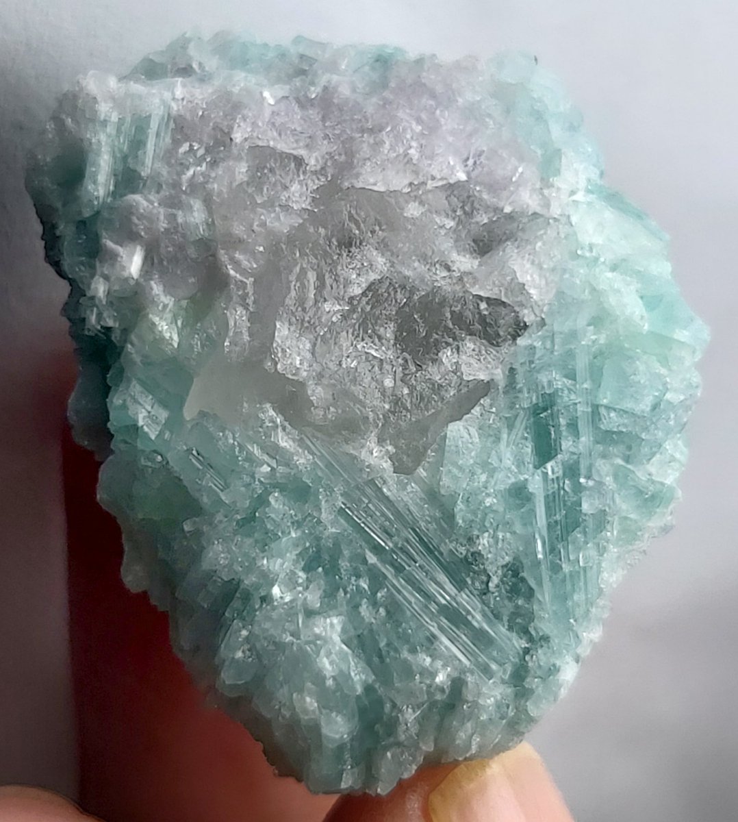 ebay.com/str/karan5535
Click here👆
#minerals #Minerals Paradise #AbabeelMinerals #ababeelgems #ab #stones #gemsandminerals #mineralspecimen #himalayanquartz #quartz #quartzcluster #crystals #specimen #cluster #luster #ebay
