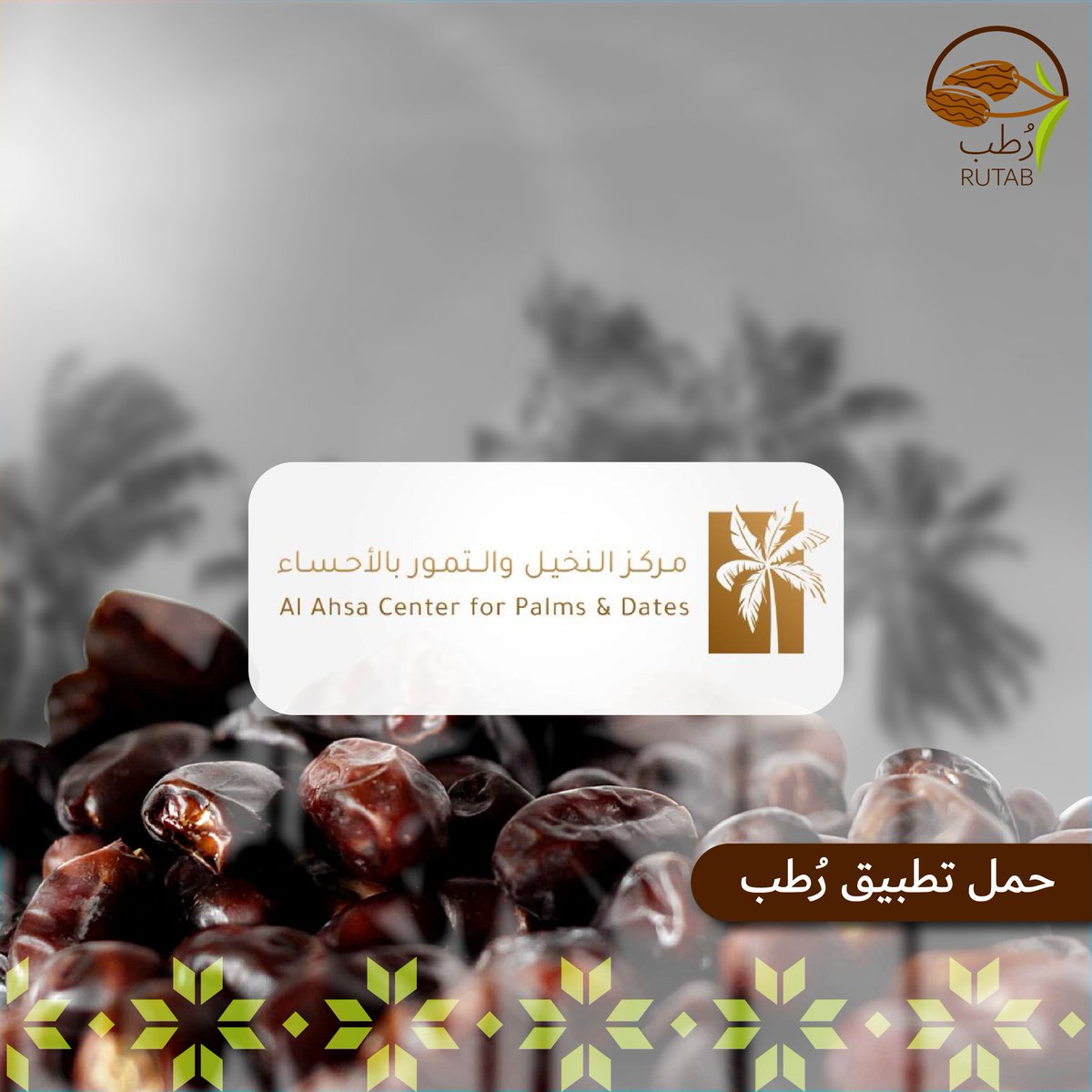 rutab_app's tweet photo. ⚜️مركز أبحاث النخيل والتمور⚜️
تم إنشاء مركز أبحاث النخيل والتمور بجامعة الملك فيصل في الأحساء في عام 1403 هـ 1983 م، ويهدف إلى تحسين إنتاجية النخيل وجـودة التمور وأن يكون إنتاج التمور خاليا من الملوثات.
#الاحساء #رطب #تمور https://t.co/7QS4V2swCJ
