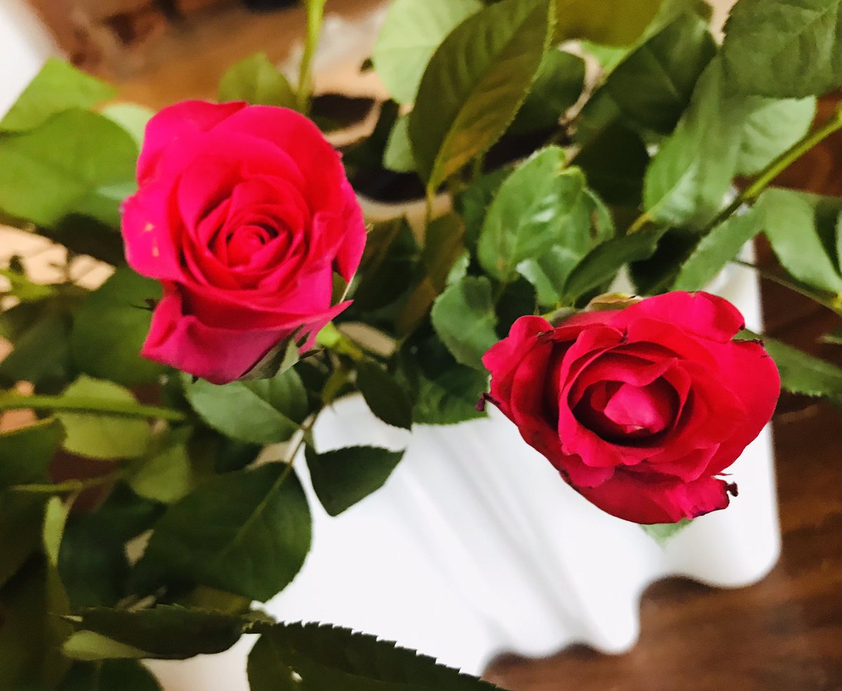 MariKorhonen5's tweet photo. Hauskaa vappua / Glada vappen 🌹 olit sitten töissä tai et. Tämä kevään juhla kuuluu meille kaikille 🎉🎈🍰
#vappu #vappen #työläistenjuhla https://t.co/nbzTklbY57