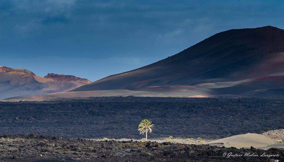 Lanzarote
