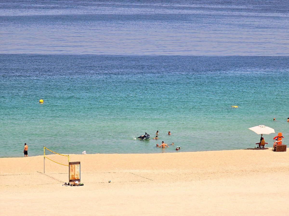 jbd0287's tweet photo. Eine doppelte Portion #Meer mit #Strand, bitte!
#Dubai #Jumeirah #PortDeLaMer #PDLM #LaMer #LaMerDubai #Volleyball #GummiHai #Ozean #Urlaub #Kurzurlaub #Reise #Reisen #Urlaubsreise #UrlaubAmMeer https://t.co/sd0yyBKiQT