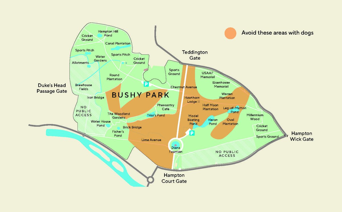 theroyalparks's tweet photo. From tomorrow, Monday 1 May, deer birthing season will be underway. Until the 31 July, 'dogs on leads' will be compulsory in all areas of Richmond &amp; Bushy Parks 🦌

Check out these handy maps of areas of both parks to specifically avoid. Read more here ▶️ https://t.co/7ZifVbehlV. https://t.co/T6yaeOPHkw