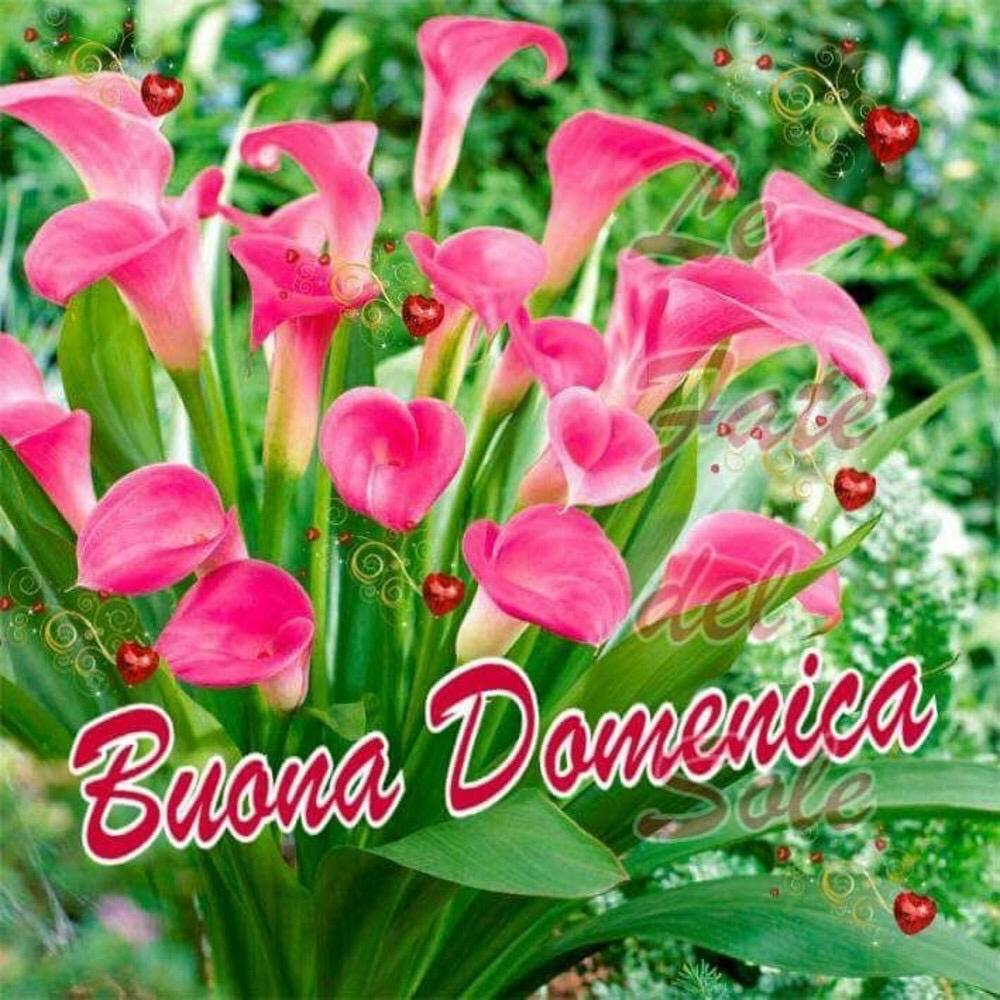 A tutti....