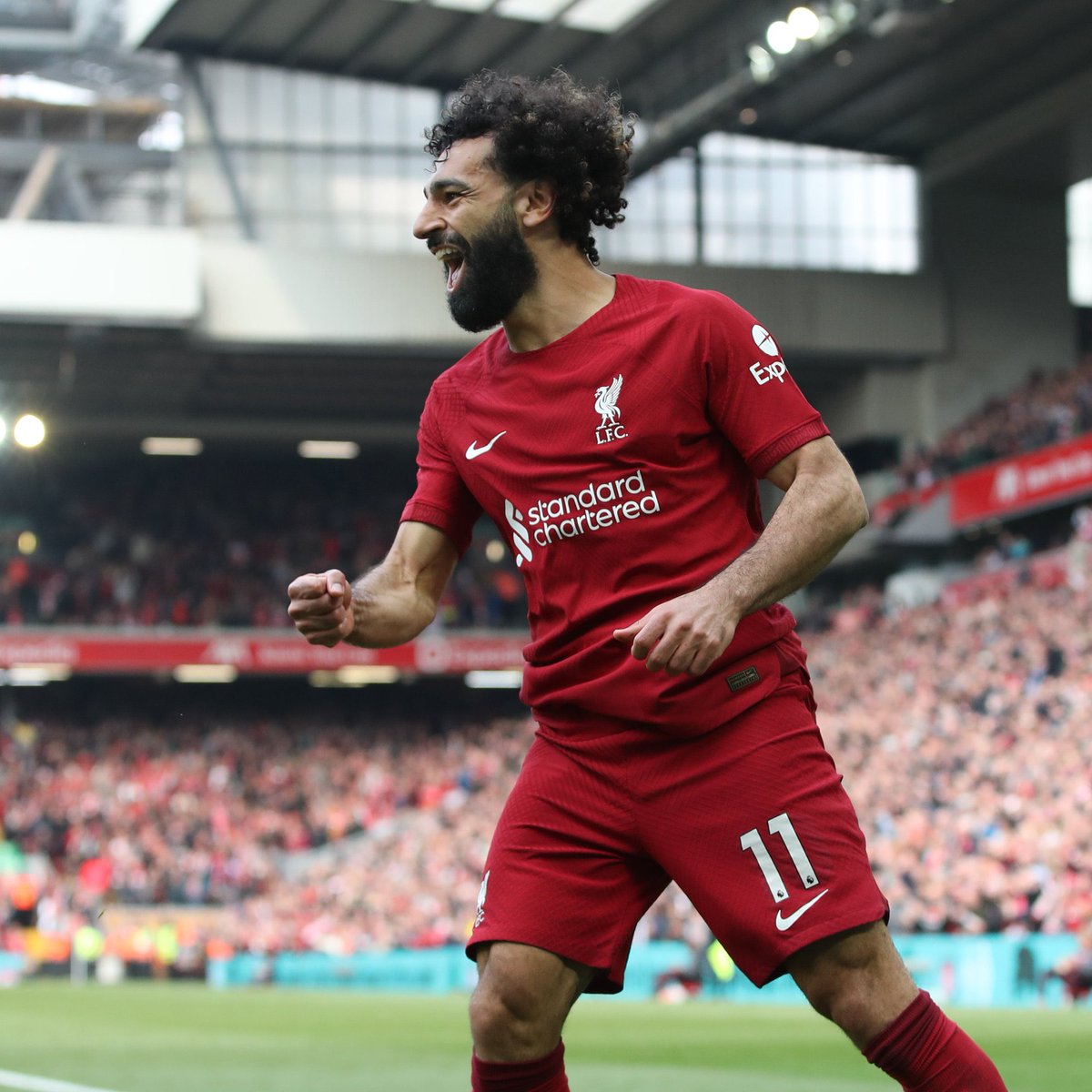 Secret Shirt Co tweet media