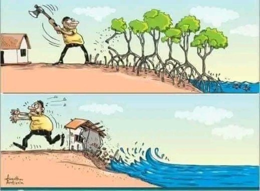 The day when man understand that he is the problem of humanity, 

He will understand that one should not fight against nature.

But rather fight for nature.
#oceans #saveourocean #saveourplanet #savenature #fightfornature