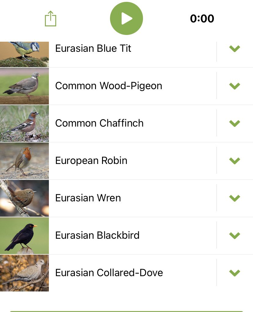 RETeacherSue's tweet image. Inspired by @PetrichorFarms I did this, one minute on my doorstep #soundsofspring #natureisamazing