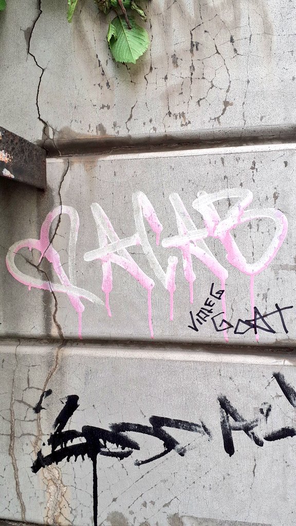 vansryo_'s tweet photo. jarní španělská. #praha2 https://t.co/fdbcxo0HC5