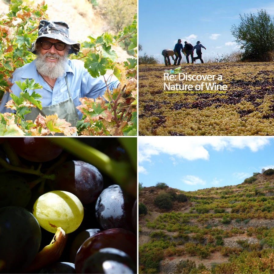 enoceowine's tweet photo. That wine, which sustains a territory
#commandaria #cypruswine https://t.co/gzuWjT9Zzk
