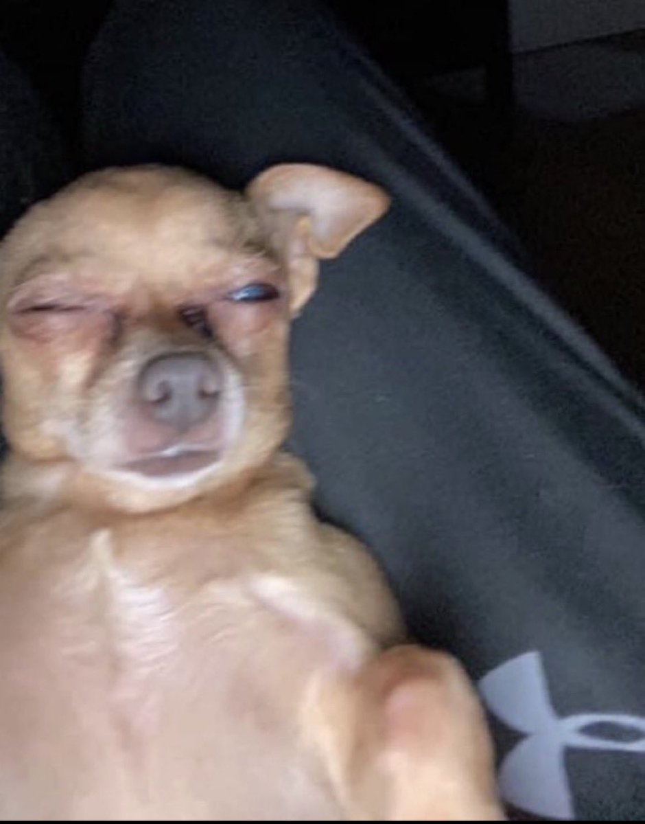 _aaliyah72664's tweet photo. me waking up in the middle of the night to check his location https://t.co/9S5vv2YBoM