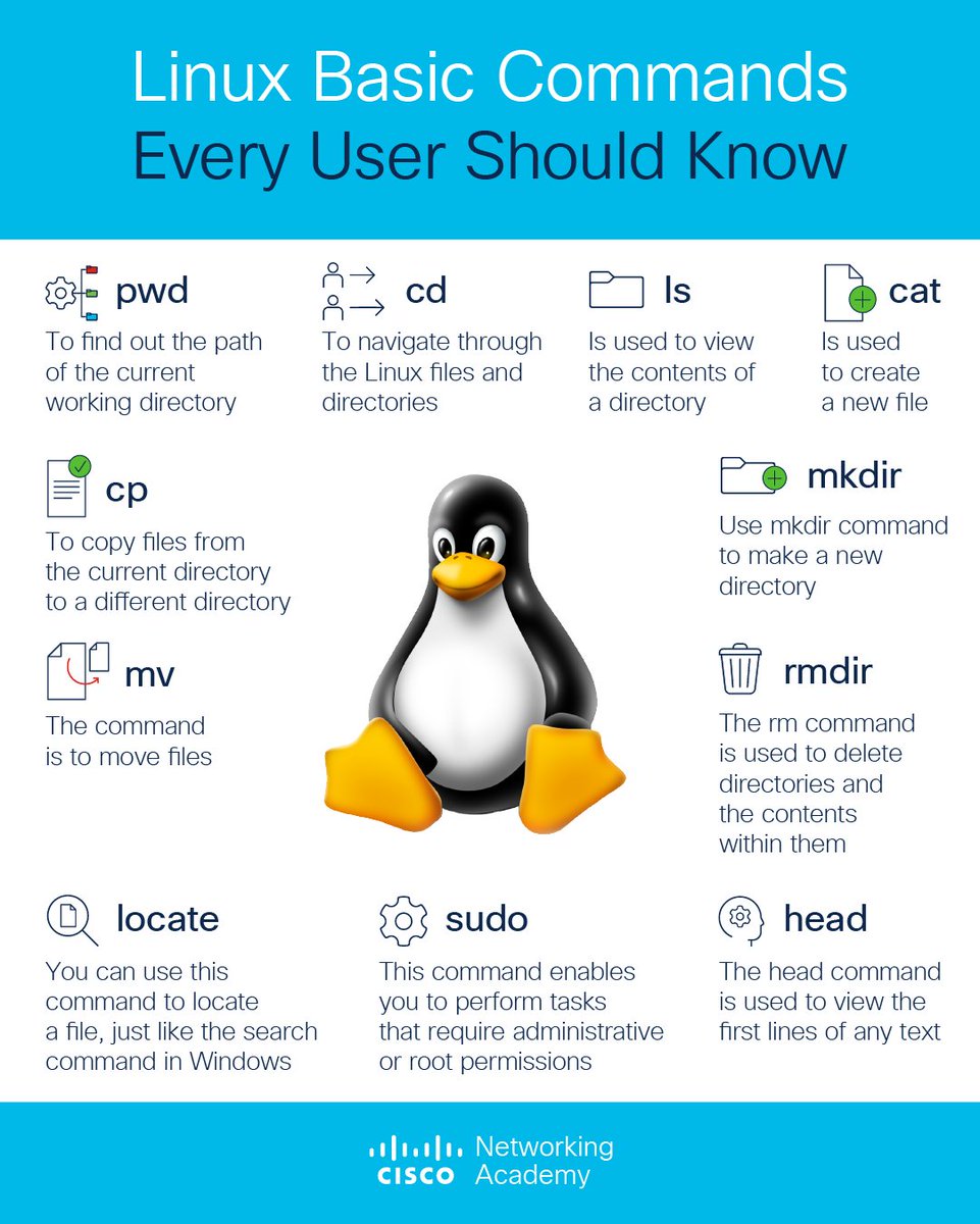 hackinarticles's tweet photo. Linux Basic Commands

#infosec #cybersecurity #cybersecuritytips #pentesting #redteam #informationsecurity #CyberSec #networking #networksecurity #infosecurity #cyberattacks #security #linux #cybersecurityawareness #bugbounty #bugbountytips https://t.co/6hQXsPcJoN