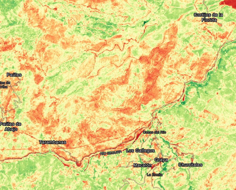 Nimodcal's tweet photo. Índice de vegetación NDVI calculado con últimas imágenes sentinel, en valle del Segura de #Yeste #Albacete evidencia el elevado contraste en cuanto a la actividad fotosintética en laderas de solana vs umbría ( colores naranjas baja actividad= alta disponibilidad). https://t.co/Dia930ryOY