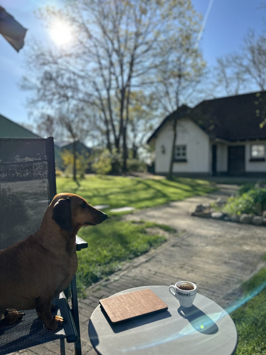 robsanders's tweet photo. This lazy Sunday is off to a great start https://t.co/W3ieTDwPxu