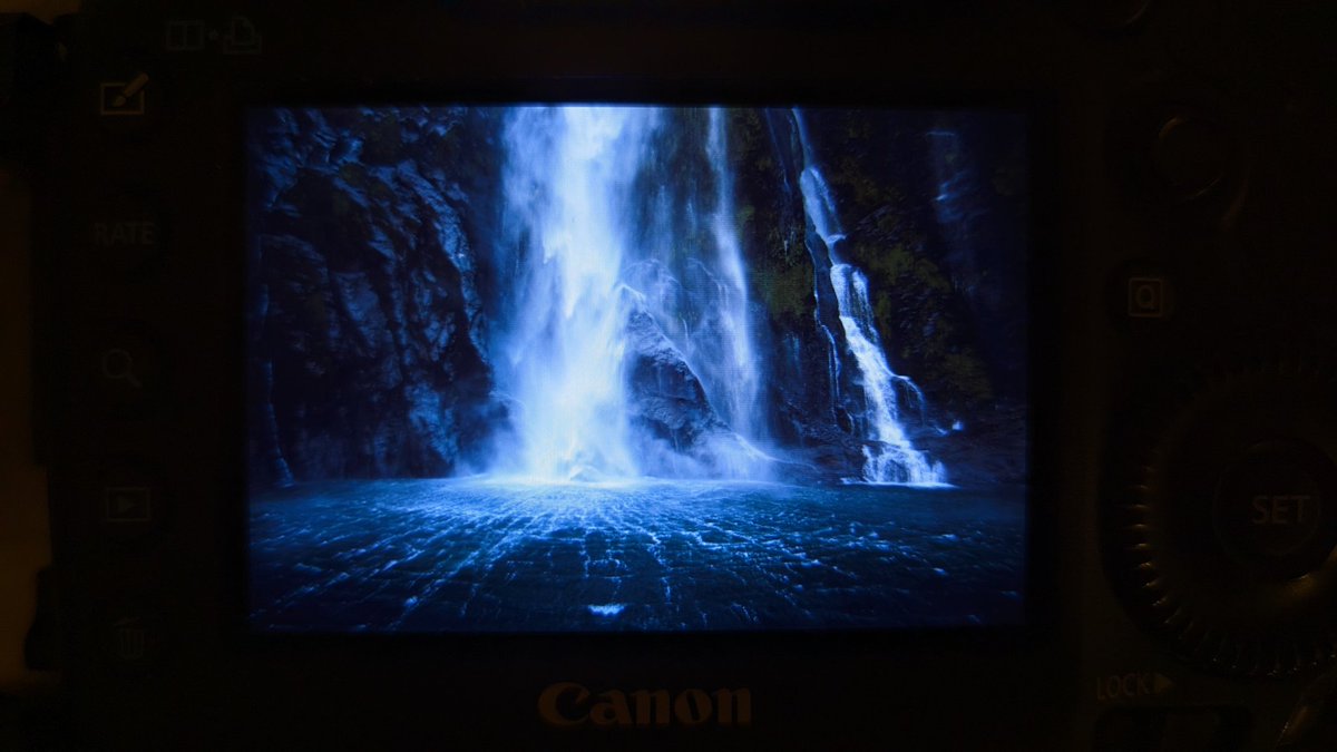 Peeping the BOTC until I can process