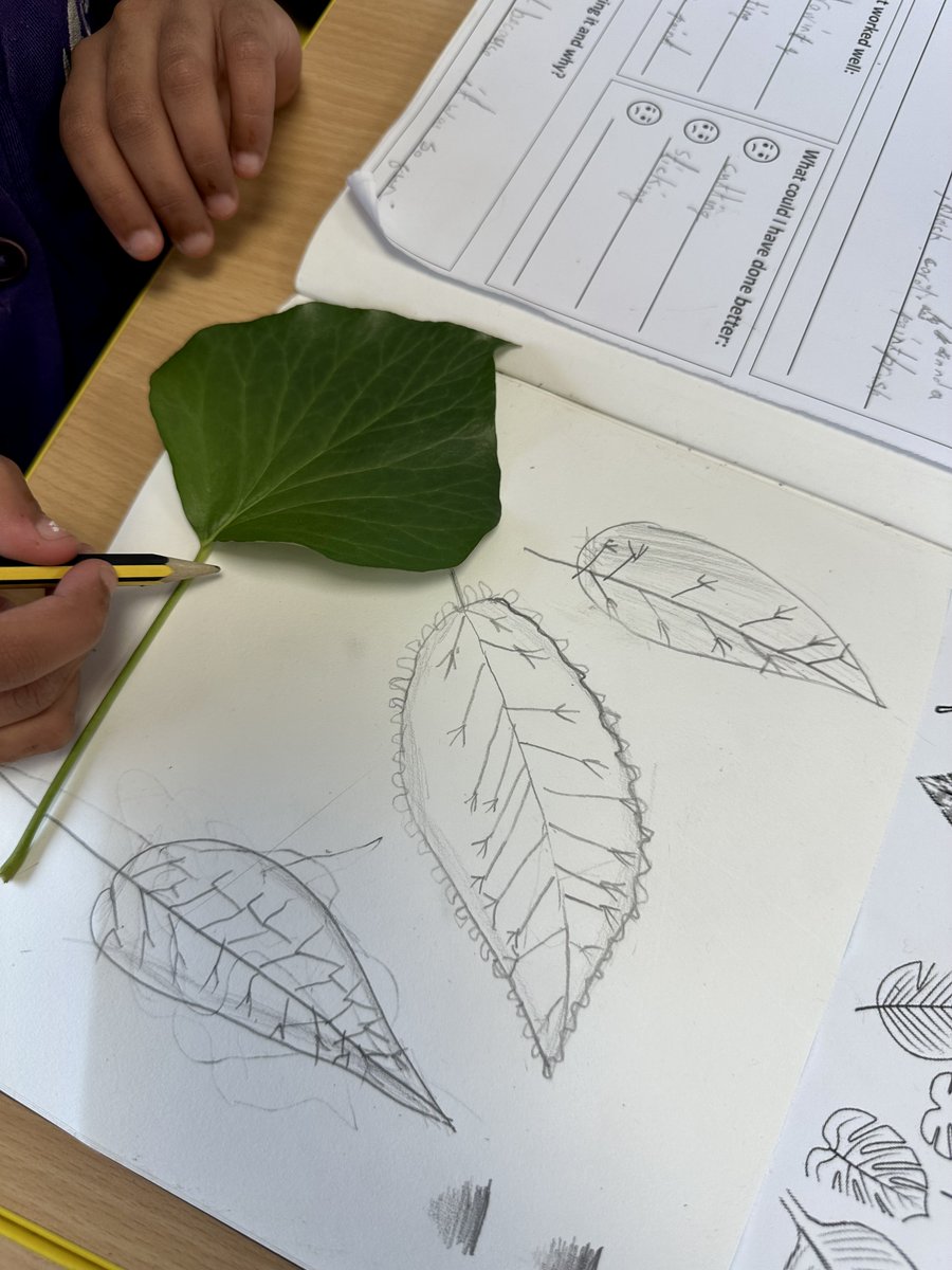 dixons_mb's tweet photo. Observational drawings of leaves - wonderful attention to detail Year 2! #observationaldrawings #primaryart #year2art https://t.co/HMQFj62T2s