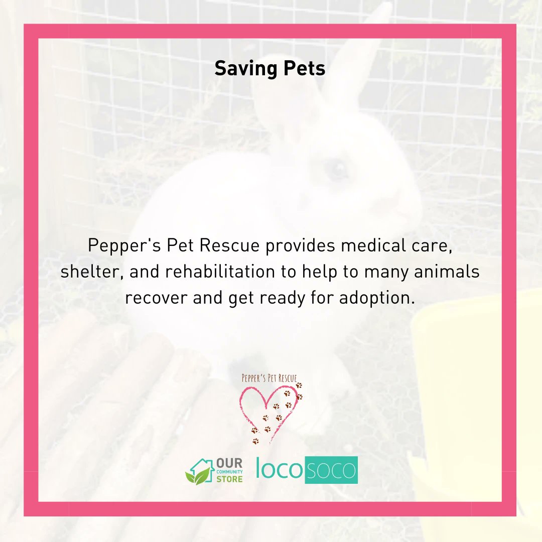 OurCommunityS's tweet image. Help Pepper's Pet Rescue in their mission to save and rehome animals. Shop now at ourcommunity.store/store/ppr #PeppersPetRescue #petrescue #OurCommunityStore @pepperspetrescue #fundraising #charity #pets #help @ourcommunitystoreuk @pepper_pet