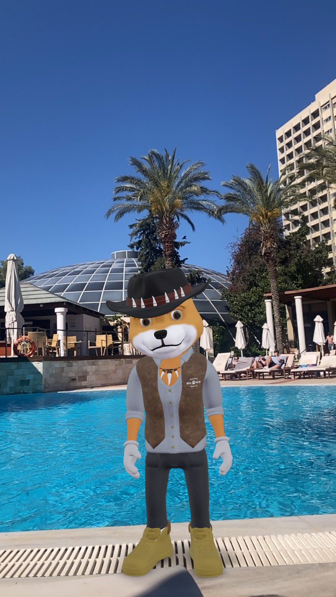 AstroAdam1990's tweet image. This little fellow is really enjoying the sun! Pool is a bit cold for him though!
#DLKC #DAGMI can’t wait to grab one myself @DogesLegacy