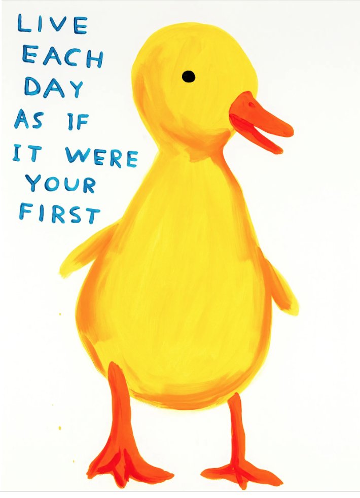 David Shrigley LIVE EACH DAY AS IF IT WERE YOUR FIRST #art #contemporaryart #pixiv