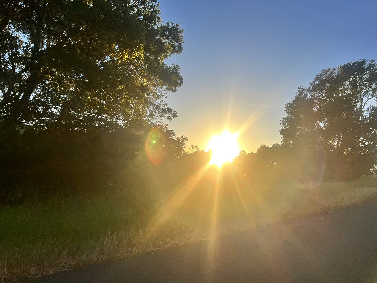 Loretta Chen tweet media