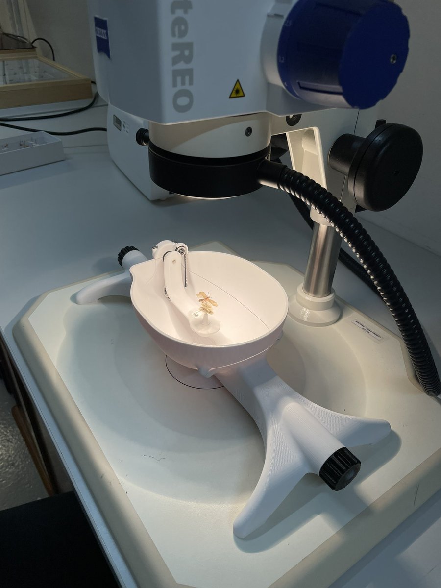 Steen Dupont tweet media