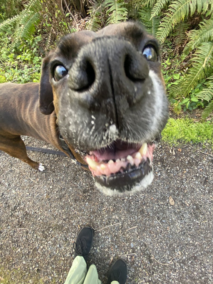 don1sdead's tweet photo. @PicturesFoIder Handsome boy :] https://t.co/nU6sZiwM23