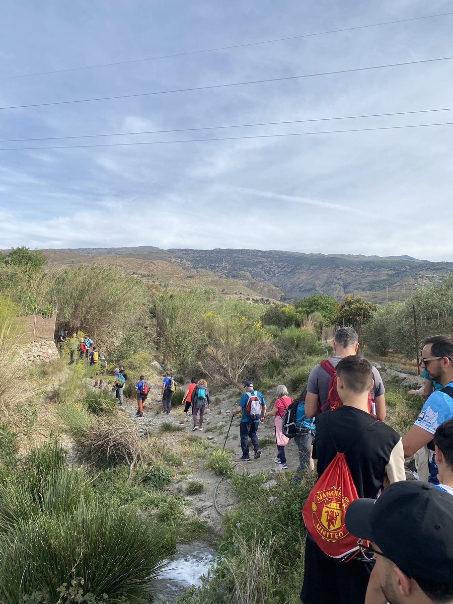 Francisco Valdivieso Gonzalez tweet media